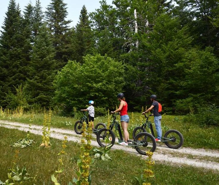 Trottinette électrique  1H *