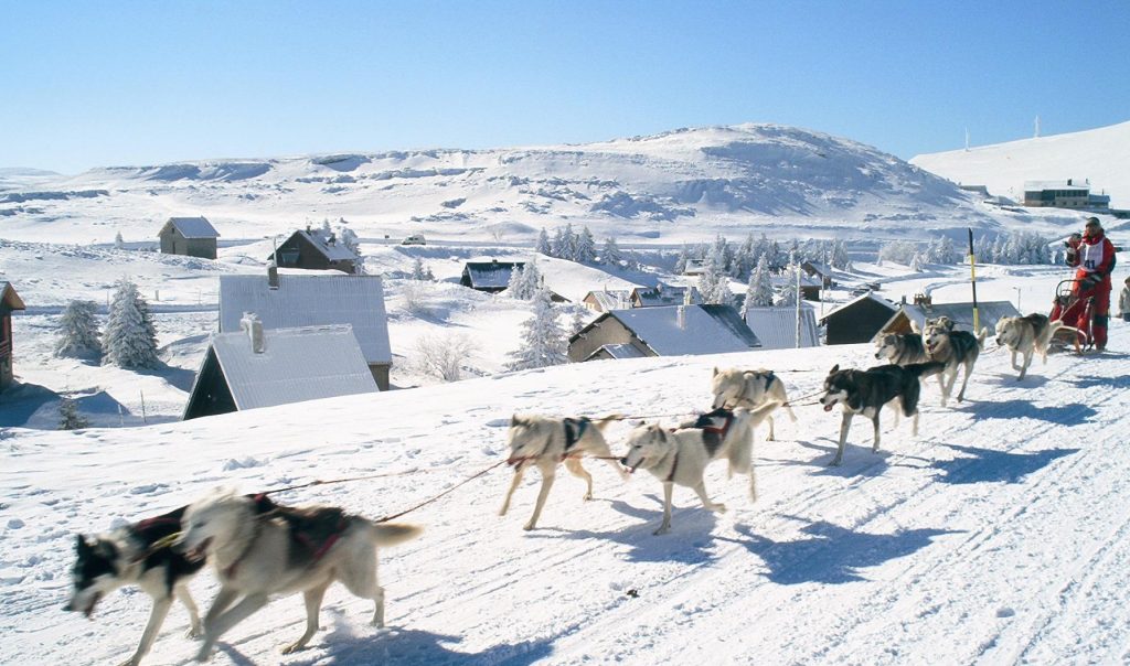 Conduite attelage 1h VEL